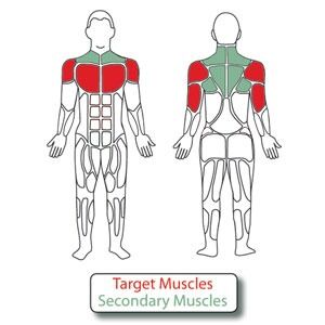 An illustration of Target Muscles in Red and the Secondary Muscles in Green used the Back Extension